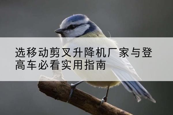 兴隆台电动升降机厂家-选移动剪叉升降机厂家与登高车必看实用指南