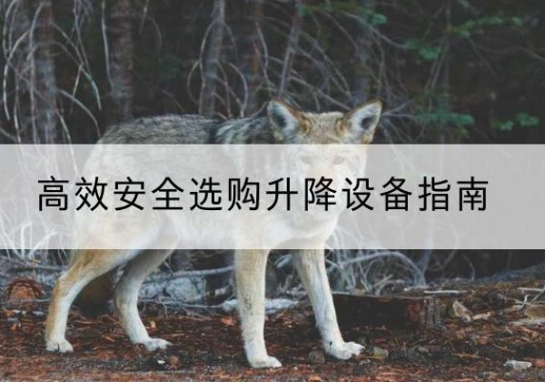 兴隆台升降货梯厂家推荐-*安全选购升降设备指南