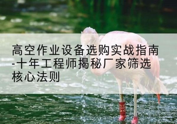 兴隆台剪叉式升降机厂家-高空作业设备选购实战指南-十年工程师揭秘厂家筛选核心法则